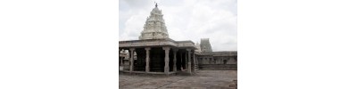 228. திருவெண்ணெய் நல்லூர்